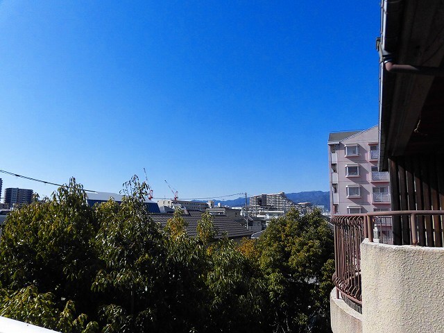 拡大写真:西宮市南甲子園2丁目 2階215の展望