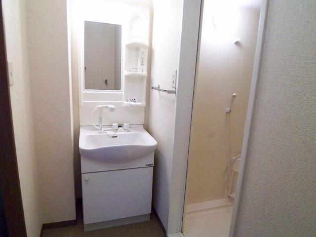 拡大写真:セレナ東甲子園 3階302の独立洗面台