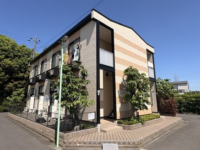 アプリコットの外観