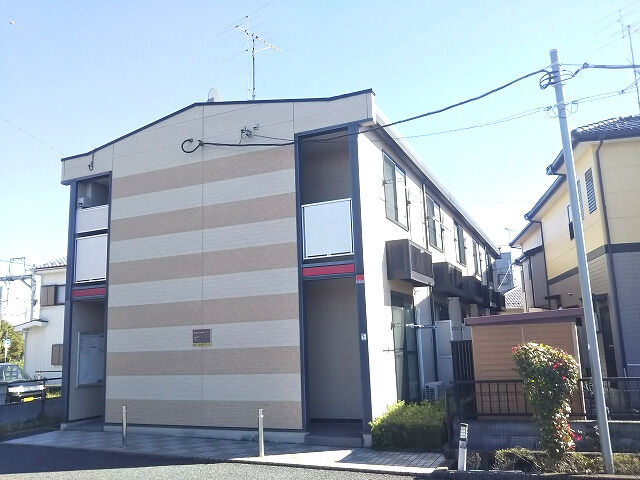 ガーベラの外観