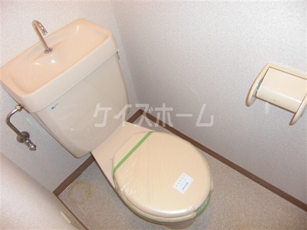 拡大写真：テンボス丸山II 1階101のトイレ
