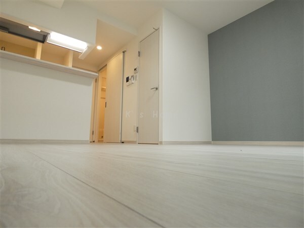 拡大写真:ウェルスクエア神戸住吉 3階307の内装