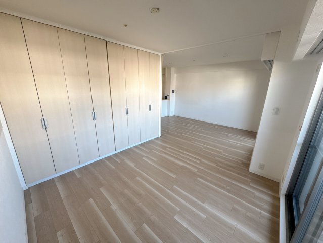 拡大写真:大阪市西区南堀江3丁目 11階1102の洋室