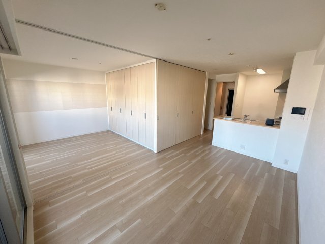 拡大写真:大阪市西区南堀江3丁目 11階1102の居間