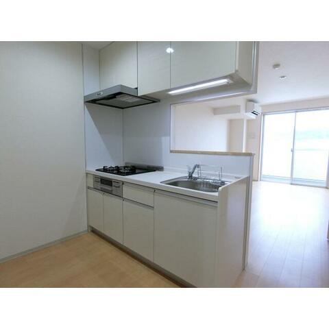 拡大写真:TERRACE WELLNESS 3階306のキッチン