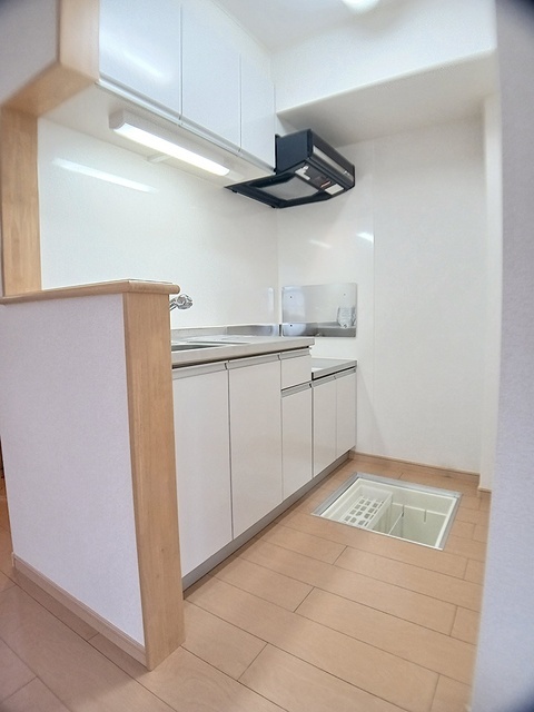 拡大写真:川西市笹部1丁目 1階107のキッチン