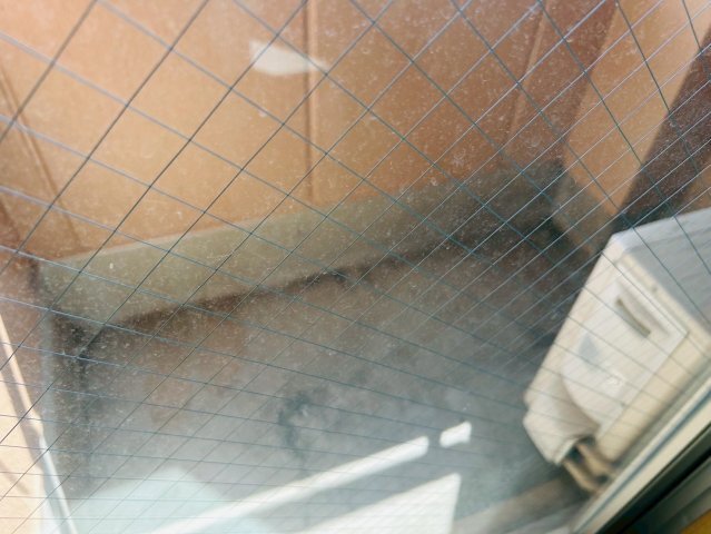拡大写真:大高土地貸事務所 3階のその他