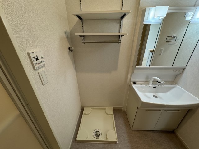 拡大写真:ルミナス 八街 2階201の室内洗濯機置場(同型タイプ)