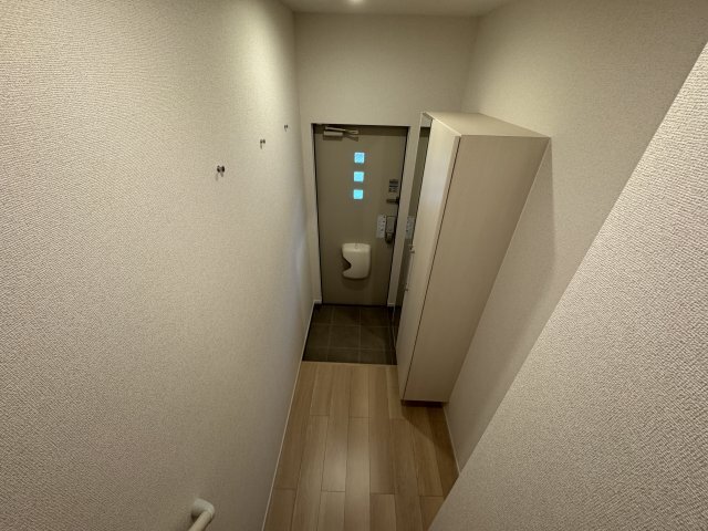 拡大写真:ルミナス 八街 2階203の玄関(同型タイプ)