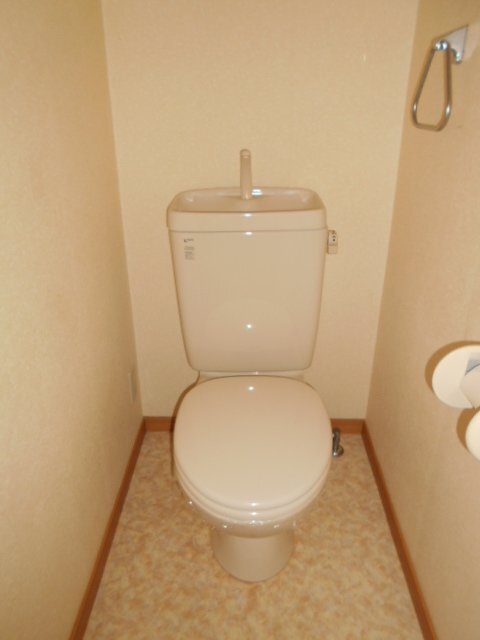 拡大写真:津山市東一宮 3階302のトイレ