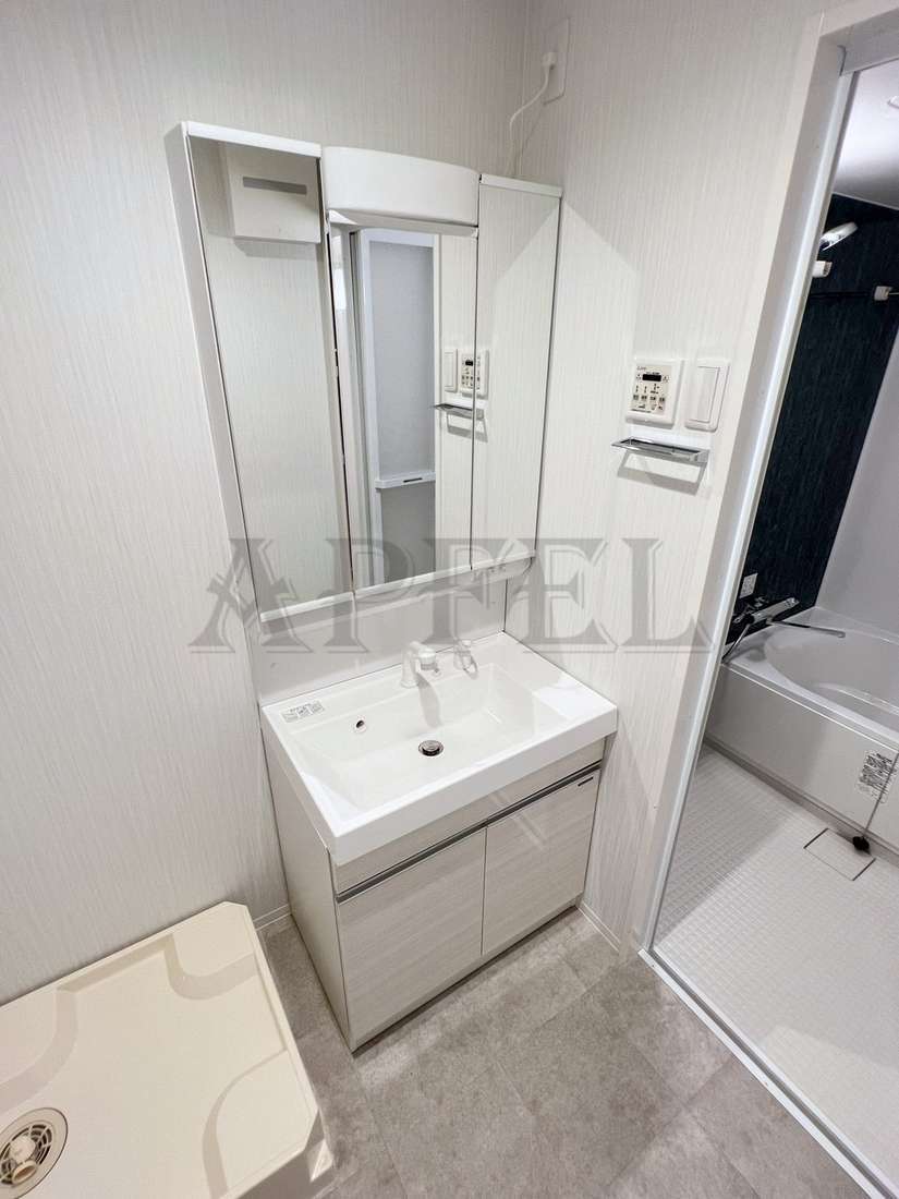 拡大写真:CITY PAL CREST TANIMACHI 3階303の洗面所