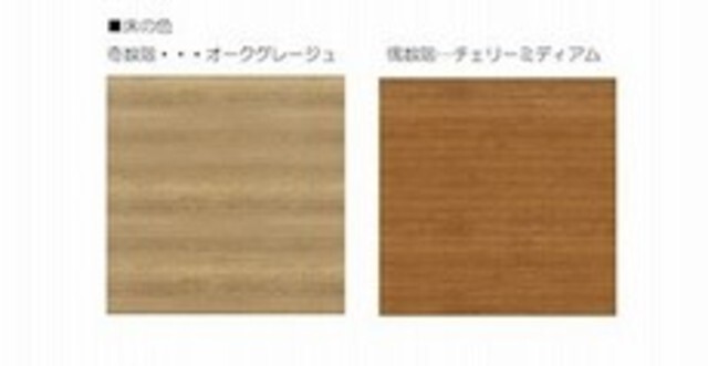 拡大写真:リアンレガーロ桜並木駅 2階202のチラシ