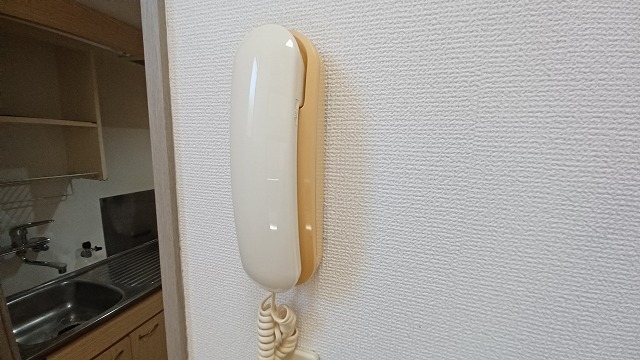 拡大写真:チャレオコーポハウス大橋 1階102のセキュリティ