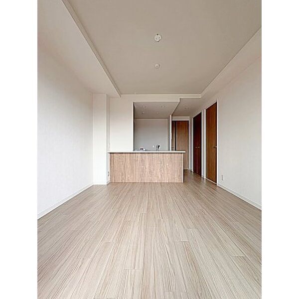 拡大写真:Grand Palace IKAI 4階403の居間