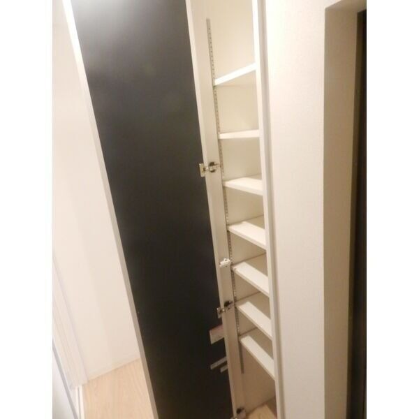 拡大写真:IDCTHE CITY 塩屋 3階301のシンプルで使いやすい玄関です