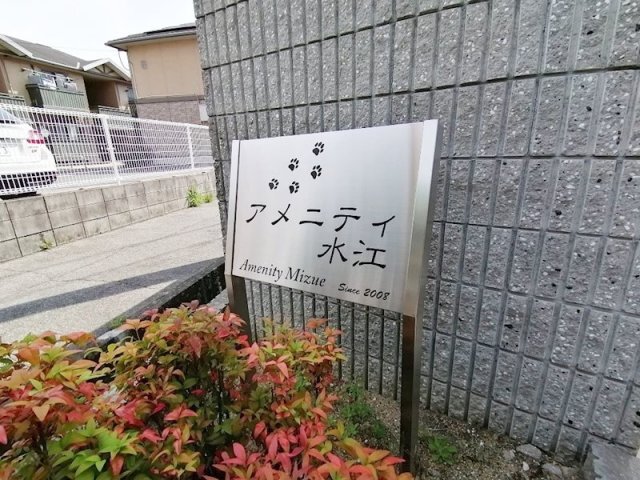 拡大写真:アメニティ水江 1階103の庭