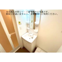 拡大写真:ジーメゾン立花レヴリア 2階203の洗面所