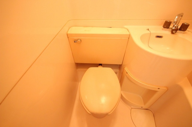 拡大写真:DICEbldg.大手町1 2階203のトイレ