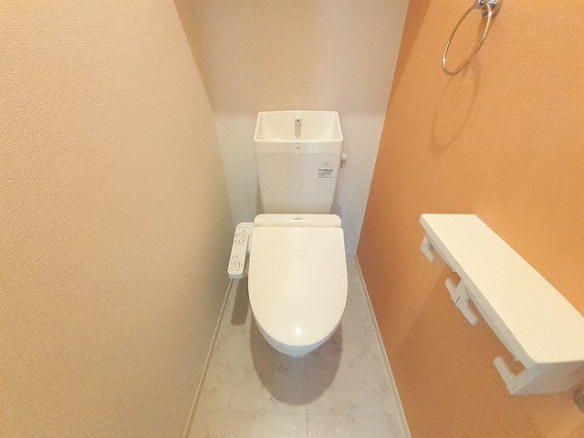 拡大写真:Plaine(プレーヌ) 2階202の清潔感のあるトイレです
