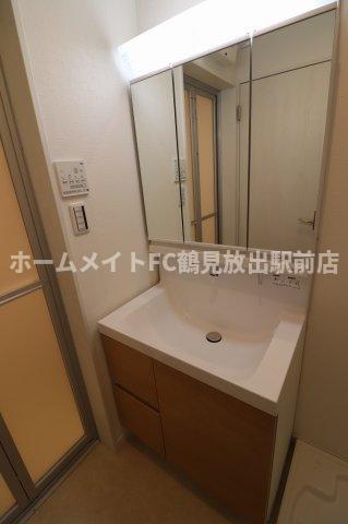 拡大写真:東大阪市稲田上町1丁目 3階304の洗面所