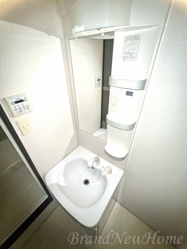 拡大写真:堺市堺区香ヶ丘町1丁 3階301の洗面所