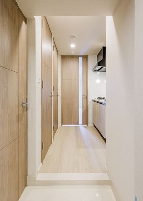 拡大写真:DIPS東十条駅前PREMIUM 6階601の玄関
