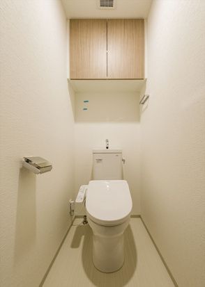 拡大写真:DIPS東十条駅前PREMIUM 6階601のトイレ