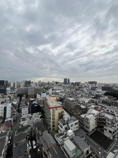 拡大写真:スプランディッド大山 14階1402の展望