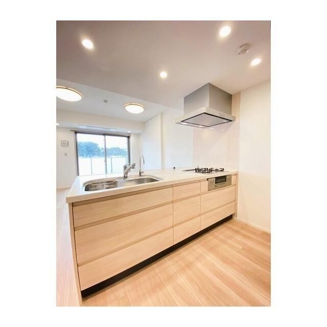 拡大写真:Beverly Homes 豊島園 1階103のキッチン