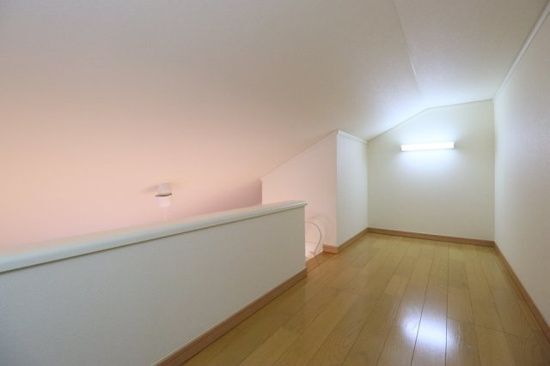 拡大写真:メゾンオルテ 2階202の洋室