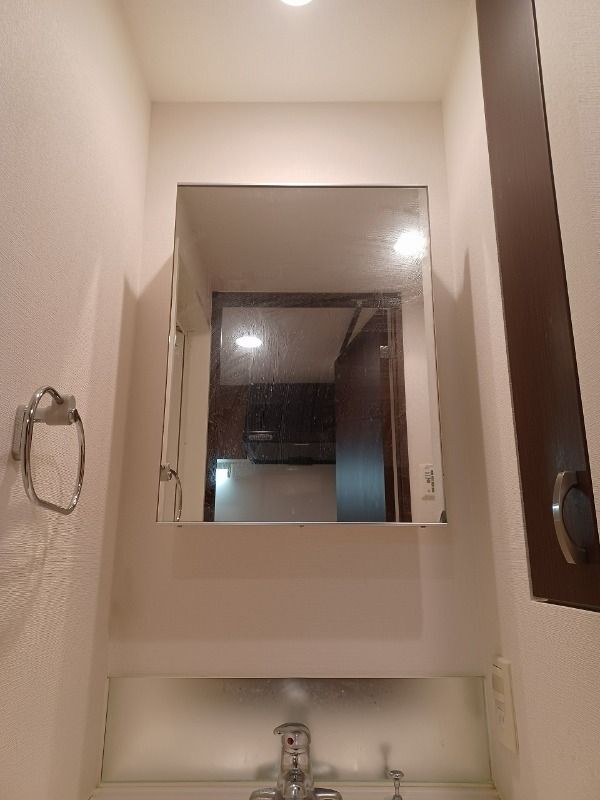 拡大写真:SPATIEXEBEC亀戸 2階202の独立洗面台