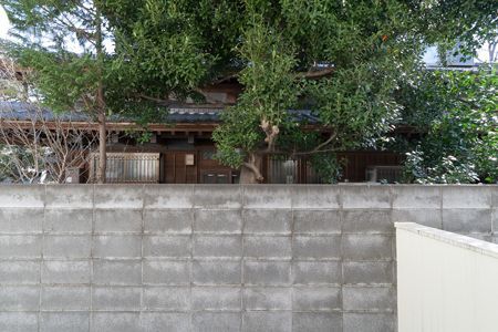 拡大写真:ONE TREE HILL 1階109の展望