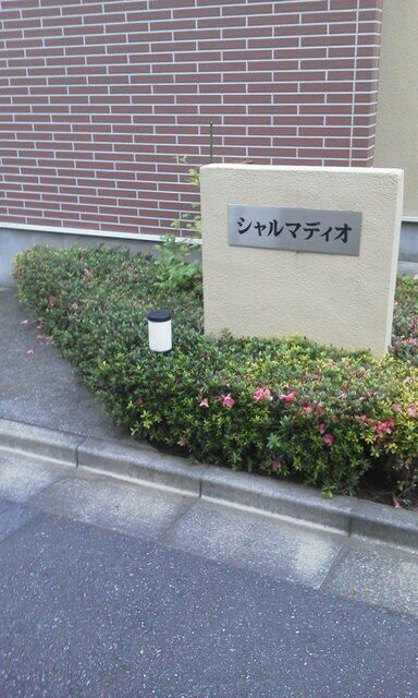 拡大写真:シャルマディオ 1階101のその他