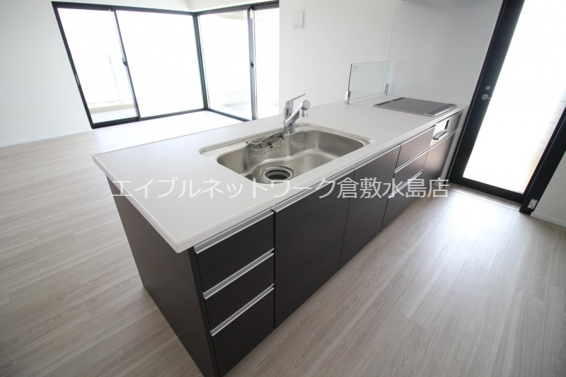 拡大写真:LA MIA CASA 10階903のキッチン