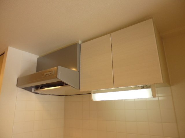 拡大写真:プレサンス錦ラウム 5階501の収納