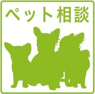拡大写真:レジデンス高畑 1階102のその他