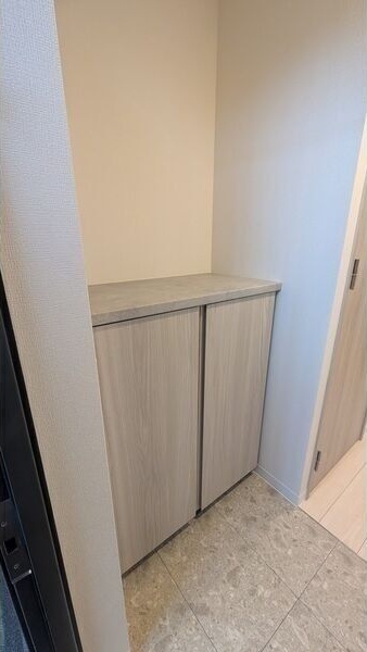 拡大写真：S-RESIDENCE堀田beaute(ボーテ) 5階501の玄関