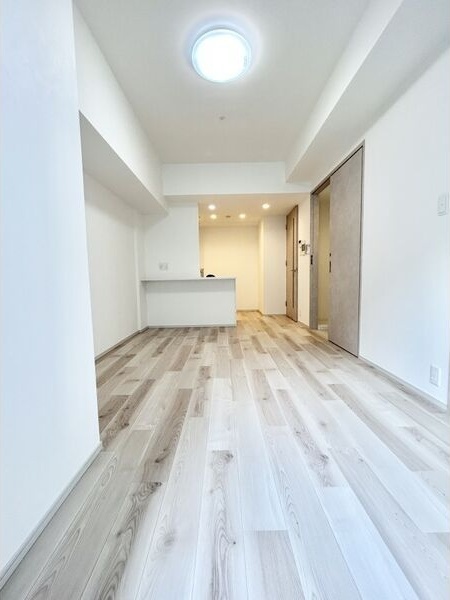 拡大写真:S-RESIDENCE高岳bresa(ブレサ) 8階807の居間