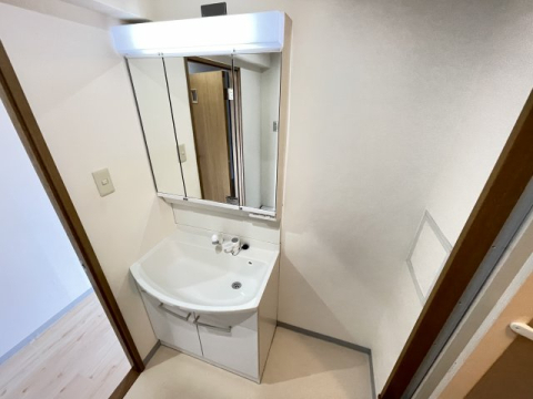 拡大写真：宝塚彩悠館 5階503の洗面設備