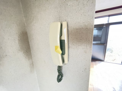 拡大写真:ビオラハウスII 1階6のセキュリティ