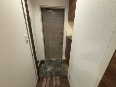 拡大写真:PureGardens夙川 1階101の玄関