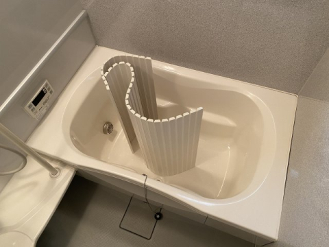 拡大写真:シャーメゾン丸橋 2階C202のバス・シャワールーム