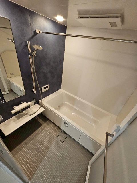 拡大写真:D-residence荘園 B 3階302のバス・シャワールーム