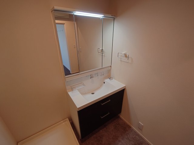 拡大写真:LaLaBrezza芦屋翠ヶ丘 3階301の洗面設備