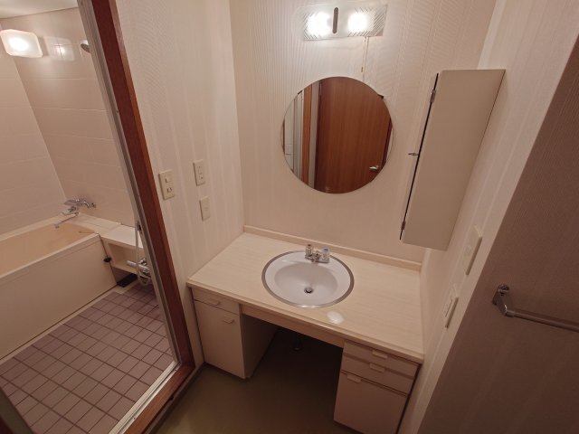 拡大写真:ルーア芦屋 3階306の洗面設備