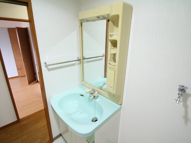 拡大写真:アンボワーズ久代2号館 3階302の洗面設備