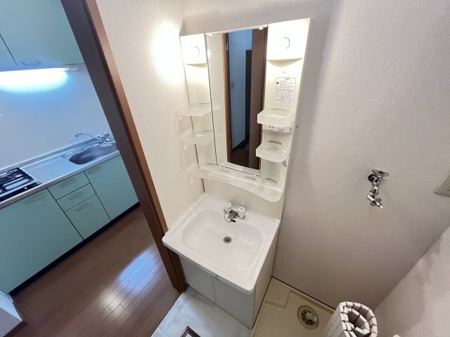 拡大写真:ディーフレア南本町 1階101の洗面設備