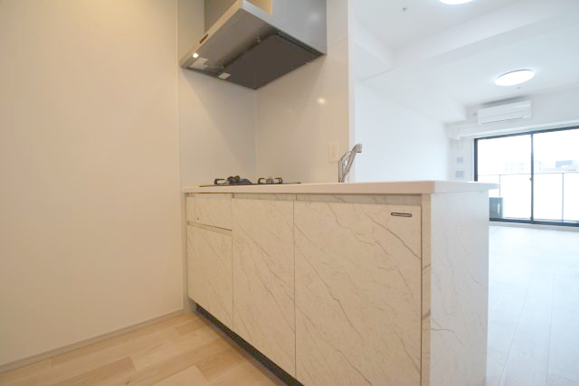拡大写真:S-RESIDENCE高岳bresa 2階206のキッチン