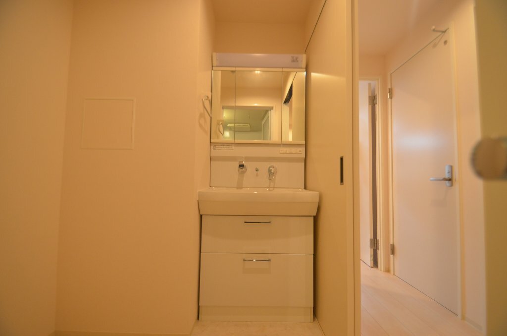 拡大写真:Naviglio Palazzo 2階203の洗髪洗面化粧台
