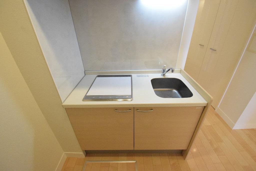 拡大写真:PHOENIX KANAYAMA 2階205のキッチン